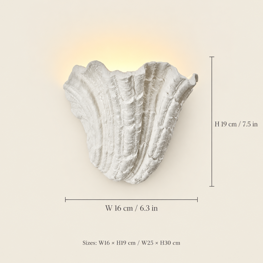 Lyme Shell Wall Light dimensions